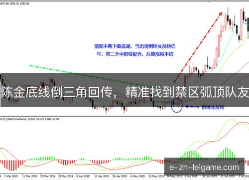 陈金底线倒三角回传，精准找到禁区弧顶队友